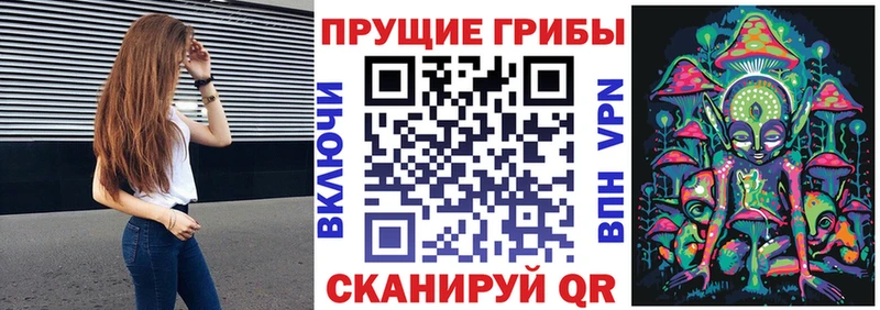 Галлюциногенные грибы GOLDEN TEACHER  где купить   Невьянск 